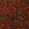 Amestec Nada Senzor PVA Bag Mix Fishmeal, 800g Amestec Nada Senzor PVA Bag Mix Fishmeal, 800g
