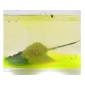 Nada Feeder CLAUMAR Nuclear Krill 800g