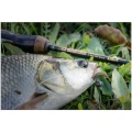 Naluca FISHUP Tanta, 043 Watermelon Brown Black, 5cm, 9buc/pac Naluca FISHUP Tanta, 043 Watermelon Brown Black, 5cm, 9buc/pac