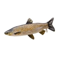 Perna Energoteam Amur Baby 41cm Perna Energoteam Amur Baby 41cm