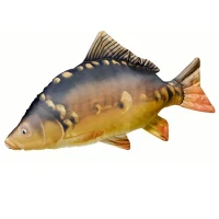 Perna In Forma De Peste Crap Energo Perna In Forma De Peste Crap Energo