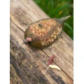 Cosulet KORUM Grub Feeder Camo, 30g, 1buc/pac