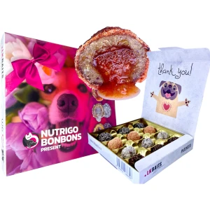Recompense Caini LK BAITS Pet Nutrigo BonBons Present Festive Candy Box, Colectie Asortata Recompense Caini LK BAITS Pet Nutrigo BonBons Present Festive Candy Box, Colectie Asortata