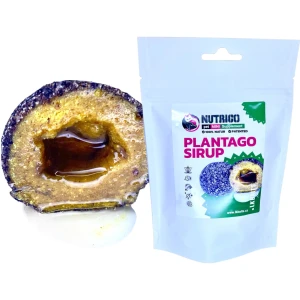 Recompense Caini LK BAITS cu Miez Lichid, Sirop Patlagina, S - M, 170g