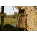 Sac Uscare Boilies KORDA Compac Air Dry Bag, Marime S Sac Uscare Boilies KORDA Compac Air Dry Bag, Marime S