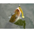 Naluca Crazy Fish Scalp Minnow 10cm 14 Shrimp Naluca Crazy Fish Scalp Minnow 10cm 14 Shrimp
