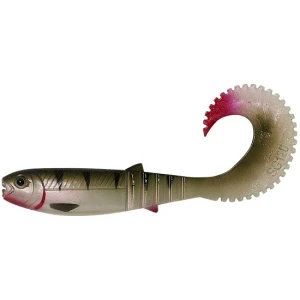SHAD SAVAGE LB CANNIBAL CURLTAIL 10CM/5G/PERCH 4BUC/PLIC