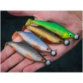 Shad BEKLEY Pulse Realistic Roach, Bleak, 11cm, 40buc/plic Shad BEKLEY Pulse Realistic Roach, Bleak, 11cm, 40buc/plic