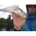 Shad Delalande Skeleton 8cm White Red Head 61 Shad Delalande Skeleton 8cm White Red Head 61