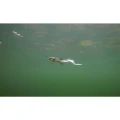Shad FOX RAGE Slick EEL, Burbot, 42cm, 1buc/plic