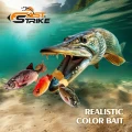 Shad Fast Strike Roach, RGR Roach Gold Red, 10cm, 9g