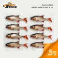 Shad Fast Strike Roach, RRT Roach Red Tail, 10cm, 9g