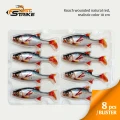 Shad Fast Strike Roach, RWR Roach Wounded Realistic, 10cm, 9g