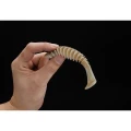 Shad Jackall Dead Slower, Spawngil, 12cm, 5buc/pac Shad Jackall Dead Slower, Spawngil, 12cm, 5buc/pac