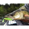 Shad Keitech Easy Shiner, Electric Shad 440, 8.9cm, 7buc/pac Shad Keitech Easy Shiner, Electric Shad 440, 8.9cm, 7buc/pac