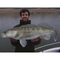 Shad Keitech Easy Shiner, Green Pumpkin - Chartreuse 401,  7.5cm, 10buc/pac