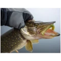 Shad Keitech Swing Impact, Chartreuse Red Flake PAL01, 11.5cm, 6buc/pac