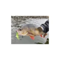RTB Dual Blade Spinnerbait 16g Chartreuse Silver Glitter RTB Dual Blade Spinnerbait 16g Chartreuse Silver Glitter
