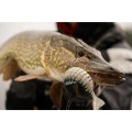 Swimbait FOX RAGE Replicant Jointed - New Colours, Silver Halo, 20cm, 120g Swimbait FOX RAGE Replicant Jointed - New Colours, Silver Halo, 20cm, 120g