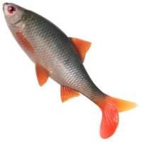 Swimbait FOX RAGE Ulta Realistic Replicant, Ultra Natural Roach, 62g, 18cm, 1buc/pac