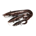 Swimbait FOX RAGE Ultra Natural Catfish Replicant, 20cm, 1buc/pac