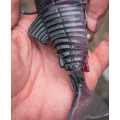 Swimbait Fox Rage Replicant Jointed, Ghost Ayu UV, 23cm/9inch, 130g Swimbait Fox Rage Replicant Jointed, Ghost Ayu UV, 23cm/9inch, 130g