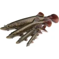 Swimbait Fox Rage Ultra Realistic Replicant, Pike, 12g, 10cm, 1buc/pac Swimbait Fox Rage Ultra Realistic Replicant, Pike, 12g, 10cm, 1buc/pac