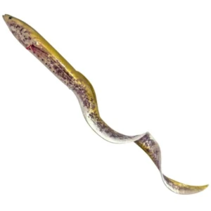 Swimbait SAVAGE GEAR Real EEL, Chameleon Eel, 30cm, 56g, 1buc/pac Swimbait SAVAGE GEAR Real EEL, Chameleon Eel, 30cm, 56g, 1buc/pac