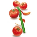 Curatator Legume Victorinox, Plastic, Verde Curatator Legume Victorinox, Plastic, Verde