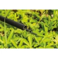 Varga RIVE R Whip 2.50m, 4seg Varga RIVE R Whip 2.50m, 4seg