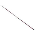 Varga Baracuda Mystic Pole carbon 6.00m 5-20g