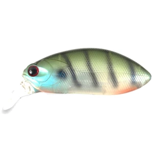 VOBLER COLMIC MACISTE RATTLE F 7.0cm 22.5gr GREEN PERCH VOBLER COLMIC MACISTE RATTLE F 7.0cm 22.5gr GREEN PERCH