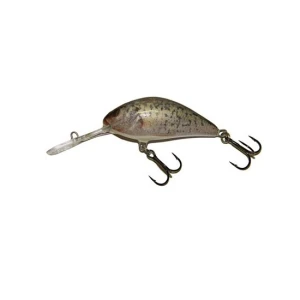 VOBLER SALMO HORNET H5F RCR 5CM/7G VOBLER SALMO HORNET H5F RCR 5CM/7G