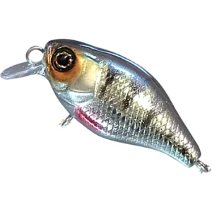 Vobler JACKALL Chubby 41F, HL Perch, 4.1cm, 5.5g Vobler JACKALL Chubby 41F, HL Perch, 4.1cm, 5.5g