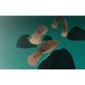 Vobler Jackall Chibi Panicra DR, Shizuoka Bizin, 2.5cm, 1.4g Vobler Jackall Chibi Panicra DR, Shizuoka Bizin, 2.5cm, 1.4g