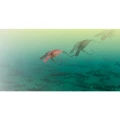 Vobler Jackall Panicra DR, Daigo Miscle Red Glow, 3.2cm, 3.6g Vobler Jackall Panicra DR, Daigo Miscle Red Glow, 3.2cm, 3.6g