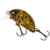 Vobler LUCKY JOHN Haira Tiny Shallow F, Culoare 504, 3.3cm, 4g, 1buc/pac