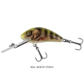 Vobler SALMO Hornet Floating, Real Identity Perch, 3.5cm, 2.6gr, 1buc/pac