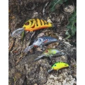 Vobler SALMO Rattlin Hornet Floating, Hot Perch, 4,5cm, 5.6gr, 1buc/pac