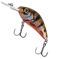 Vobler Salmo Rattlin Hornet Floating, Yellow Holographic Perch, 4,5cm, 5.6gr, 1buc/pac