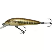 Vobler Salmo Minnow M5f, 5.0cm, 3.0g, M