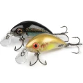 Vobler Salmo Rattlin Hornet Shallow, Clear Ayu, 3.5cm, 3g 