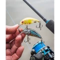 Vobler Salmo Rattlin Hornet Shallow, Clear Ayu, 3.5cm, 3g  Vobler Salmo Rattlin Hornet Shallow, Clear Ayu, 3.5cm, 3g