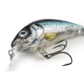 Vobler Salmo Rattlin Hornet Shallow, Clear Holo Smelt, 4.5cm, 5.5g 