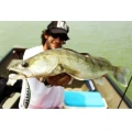 Vobler DUO Ryuki 45S 4.5cm 4g MP39 Baby Salmon S Vobler DUO Ryuki 45S 4.5cm 4g MP39 Baby Salmon S
