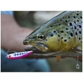 Vobler DUO Ryuki 50S Takumi 5cm 4g GPA4009 River Bait S Vobler DUO Ryuki 50S Takumi 5cm 4g GPA4009 River Bait S