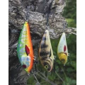 Vobler SALMO Fatso Sinking, Holo Tiger, 10cm, 59gr, 1buc/pac