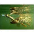 Vobler DUO Realis Jerkbait 100 DR 10cm 15.4g GPA4009 River Bait SP